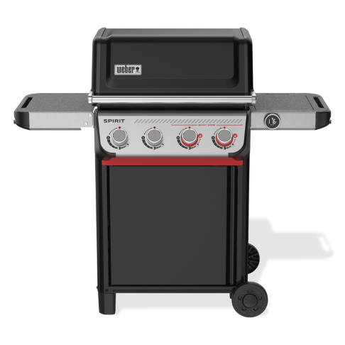 Spirit EX-425 ab 2026