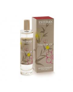 Nachfüllflasche Esteban Esprit de thé
