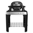Weber Pulse 1000 with Stand
