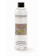 Nachfüllflasche Esteban Esprit de thé