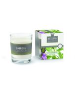 Duftkerze Esteban Verveine Douce
