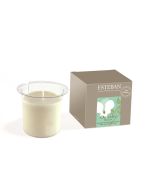 Nachfüllkerze für Duftkerze Esteban Orchidée Blanche