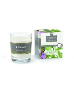 Duftkerze Esteban Verveine Douce