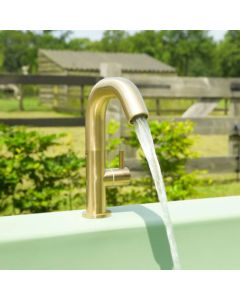 Wasserhahn für Gardentub - gold