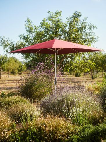 Sonnenschirme - Bild 2