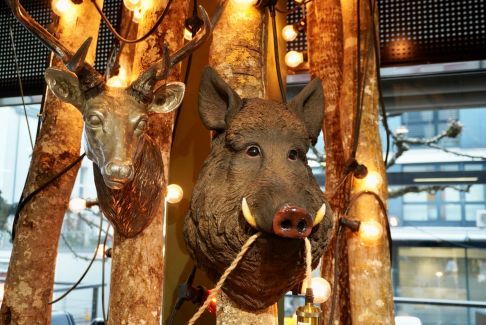 Beleuchtung & Elektrogeräte